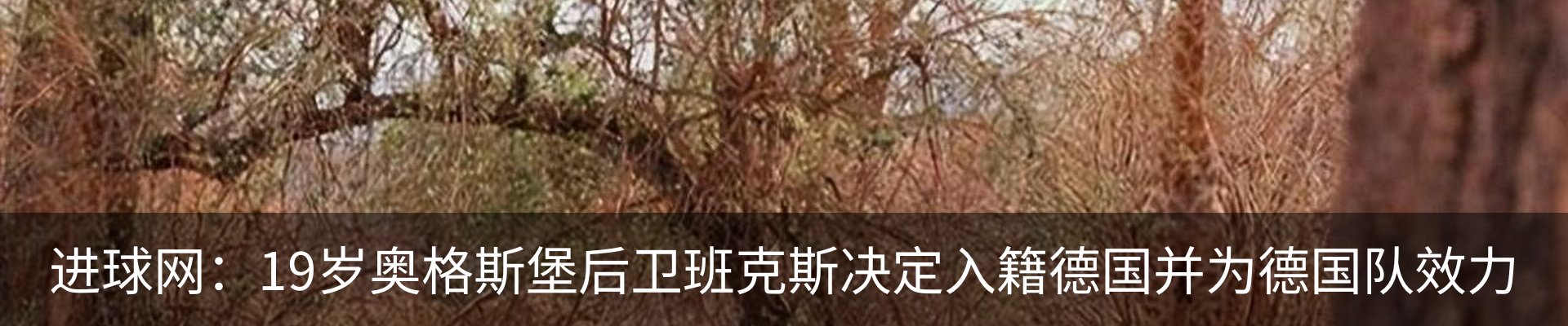 热点资讯