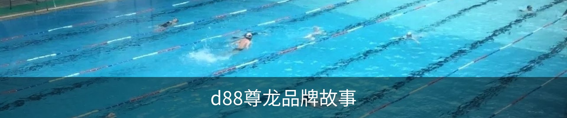 d88尊龙品牌故事